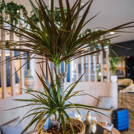 Hotel Ibis Budget Centre Rive Gauche Rouen