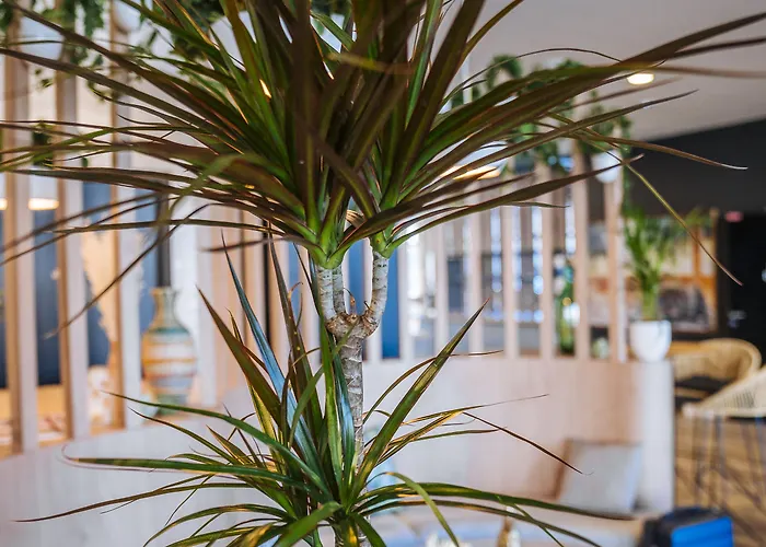 Hotel Ibis Budget Centre Rive Gauche Rouen